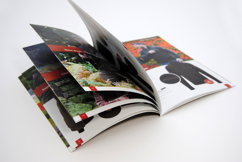 In catalogue giá rẻ tại An Giang